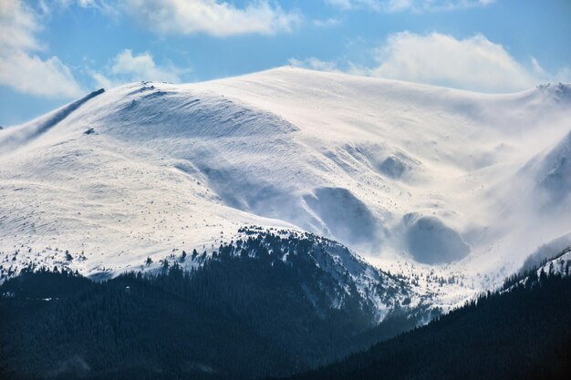 Paesaggio invernale con colline di alta montagna ricoperte da una foresta di pini sempreverdi dopo abbondanti nevicate in una fredda giornata invernale.