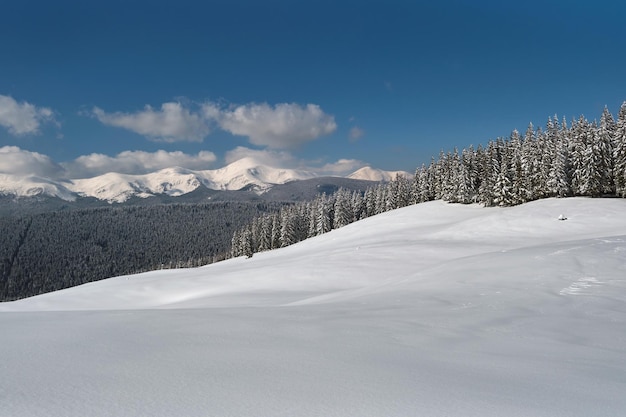 寒い冬の日に大雪が降った後、常緑の松林で覆われた高山の丘のある冬の風景