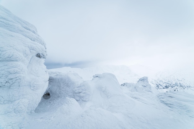 Winter landscape with hoarfrost on a rock