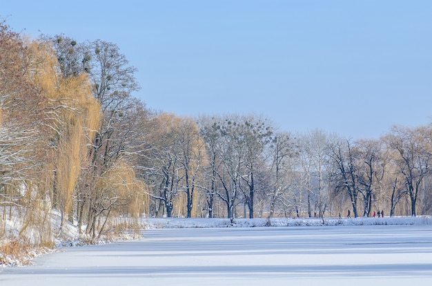 Winter landscape with lake