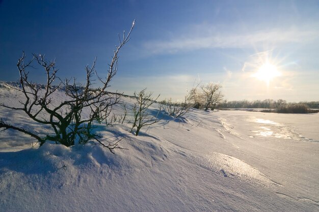 Winter landscape with a lone tree with roots in ice a road to a
tree with ice waves on the snow against the backdrop of a bay with
a blue sea in ice and a yellowblue sunset in winter