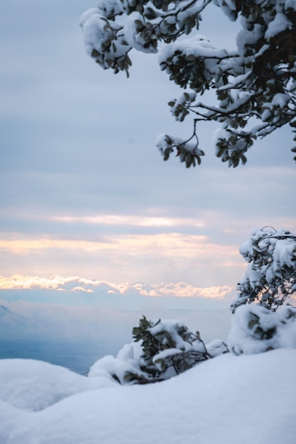 Winter landscape with mountains and clouds