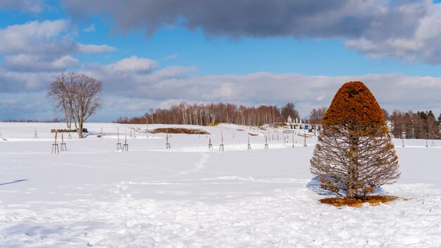 Winter Landscape With Natural Scenery