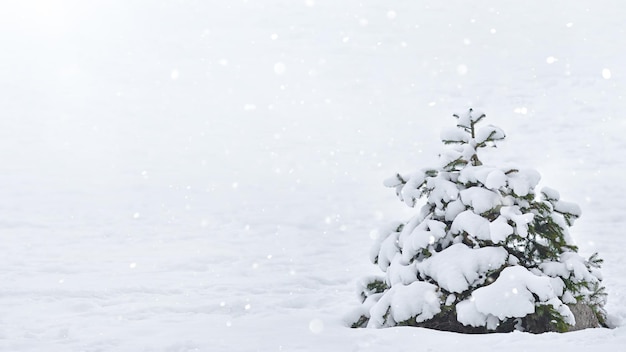 Winter landscape with one snowcovered fir tree Christmas or new year snowfall