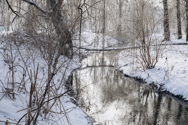 Winter landscape with the river and forest in frosty day