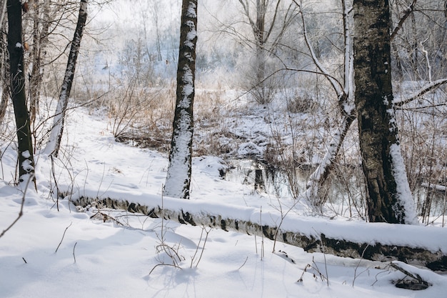 Winter landscape with the river and forest in frosty day