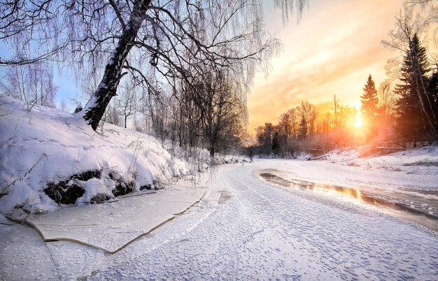 Paesaggio invernale con fiume, foresta e sole