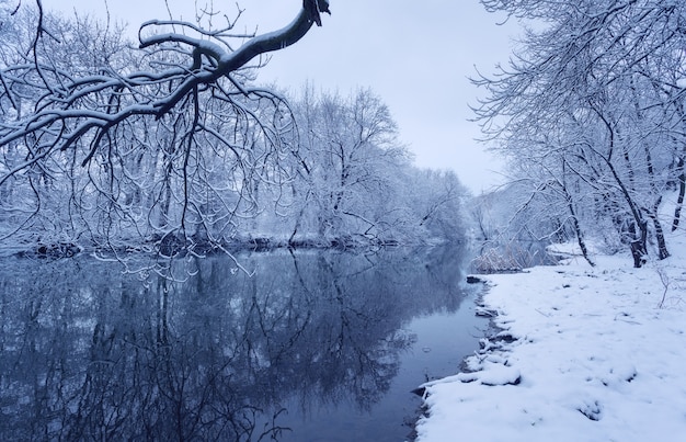 Paesaggio invernale con fiume nella foresta.