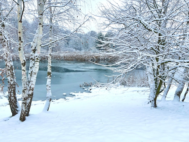 Foto paesaggio invernale con il fiume in un giorno gelido