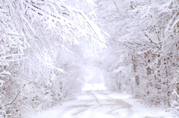 道路の雪が覆われた冬の風景