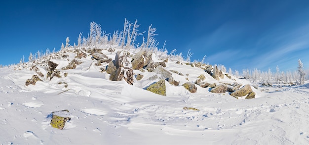 Winter landscape with rocks and dead trees