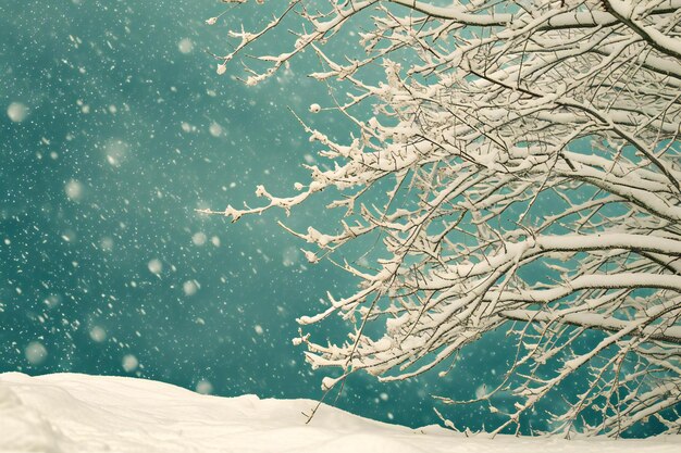 Photo winter landscape with snow covered trees and blue sky retro vintage effect