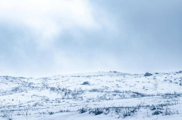 Photo winter landscape with snow in peneda geres national park portugal