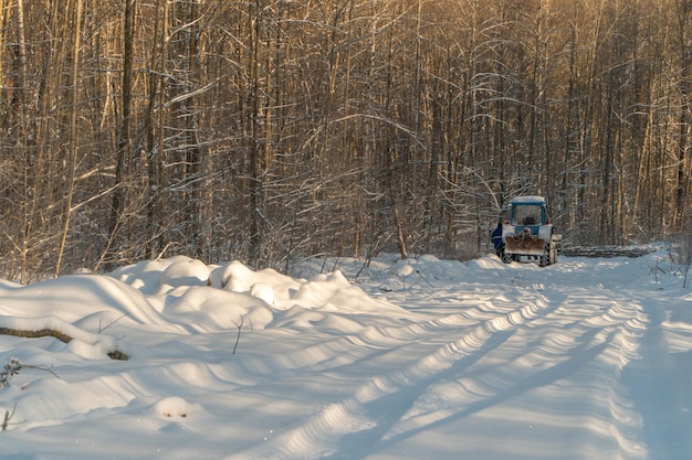 Winter landscape with snow and trees. Natural landscape in winter