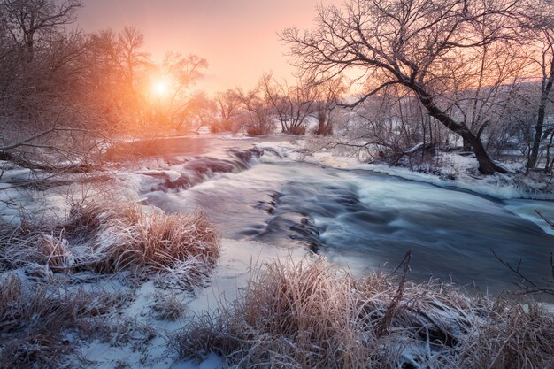 Winter landscape with snow