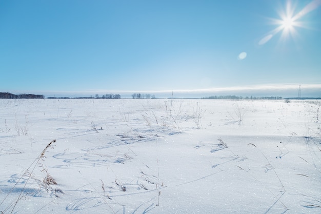 写真 雪に覆われたフィールドと霜の白い雪と青い空の草のある冬の風景は太陽の下で輝きます