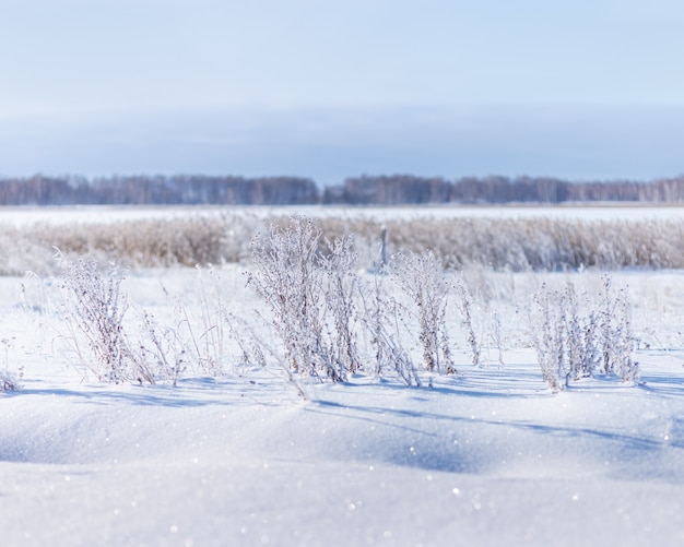 雪に覆われたフィールドと霜の白い雪と青い空の草のある冬の風景は太陽の下で輝きます