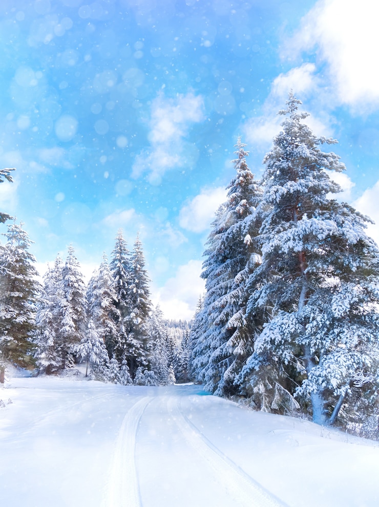 Photo winter landscape with snowy forest and road. snow world. rhodope mountains, bulgaria