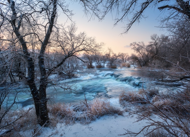 雪に覆われた木、夕暮れ時の美しい凍った川のある冬景色