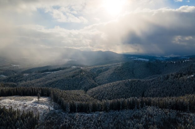 Зимний пейзаж с еловыми деревьями заснеженного леса в холодных горах.