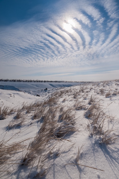 Фото Зимний пейзаж со степью, покрытой снегом
