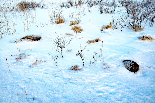 石と乾いた草のある冬の風景