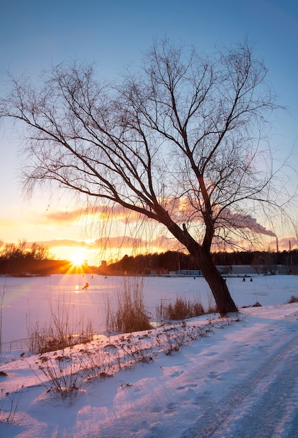 Winter landscape with sunset sky. Composition of nature.
