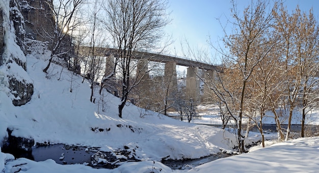 写真 朝の橋のある冬の風景