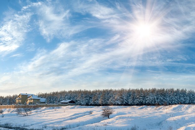 Фото Зимний пейзаж с домиком на опушке леса, деревья засыпаны снегом