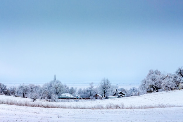 青い空の下で木々やカントリーハウスのある冬の風景_