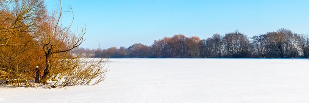 晴れた日、パノラマ、氷と雪で覆われた川のほとりに木がある冬の風景