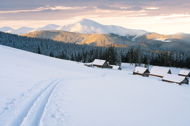 Paesaggio invernale con alberi coperti di neve