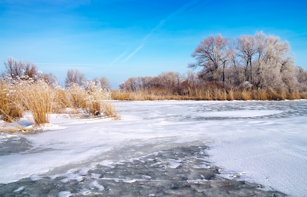 Winter landscape with trees and frozen river