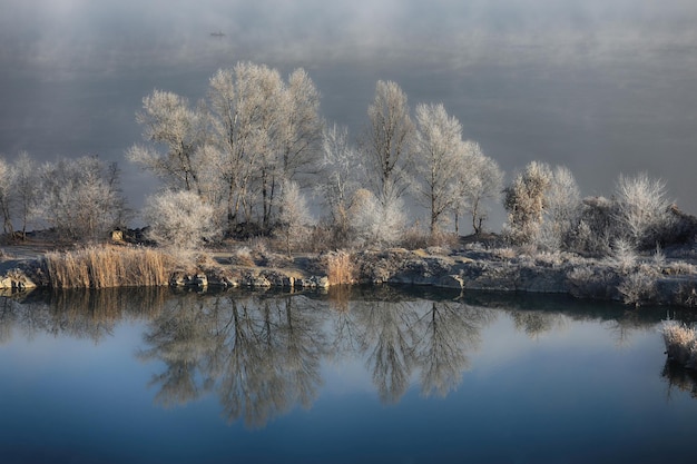 winter landscape with trees and lake