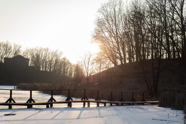 葦に囲まれた湖に木製の橋がかかる冬景色