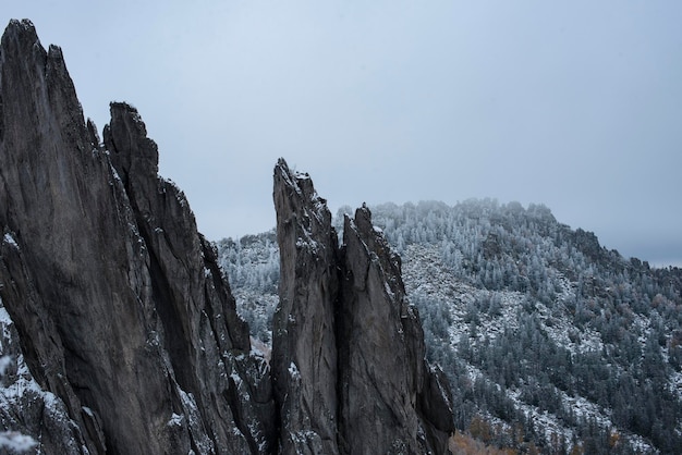 Photo winter landscape