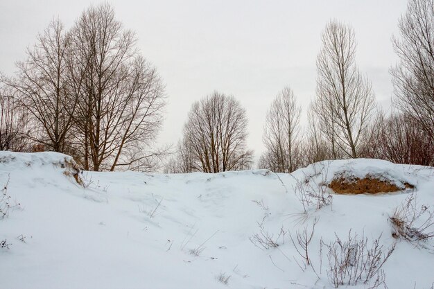 사진 겨울 풍경