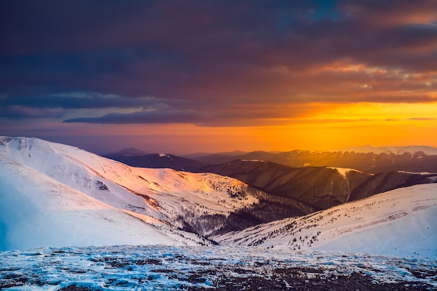 Winter landscape