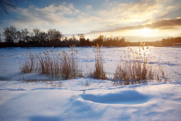 Winter landscape