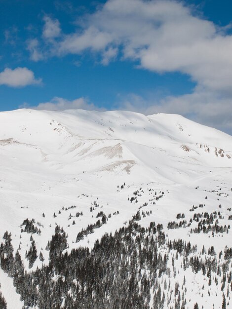 Foto paesaggio invernale