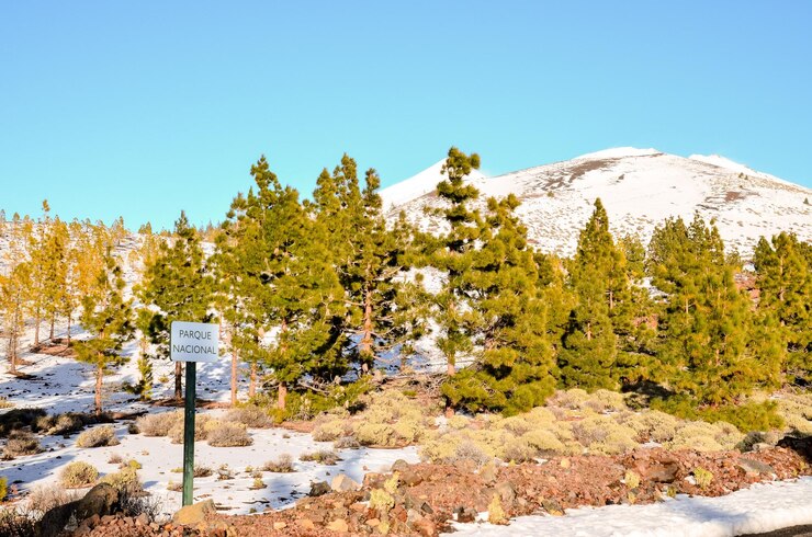 Photo winter landscape