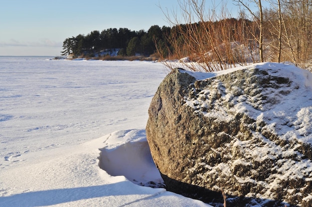 Winter landscape