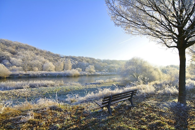 Winter Landscape