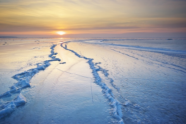 Winter landschap