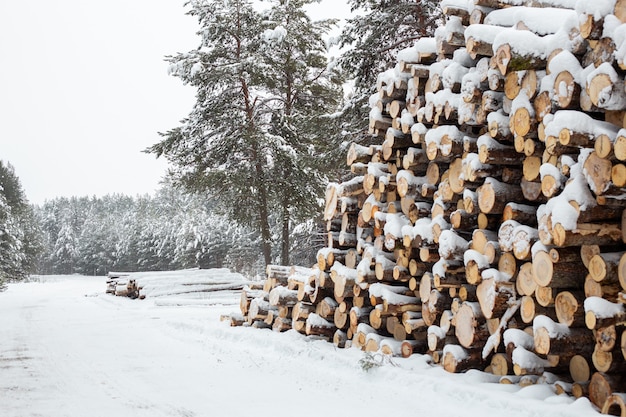 Winter logging in the snow forest