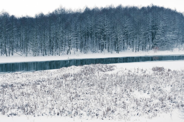 Winter marsh with small river and dark forest on backward