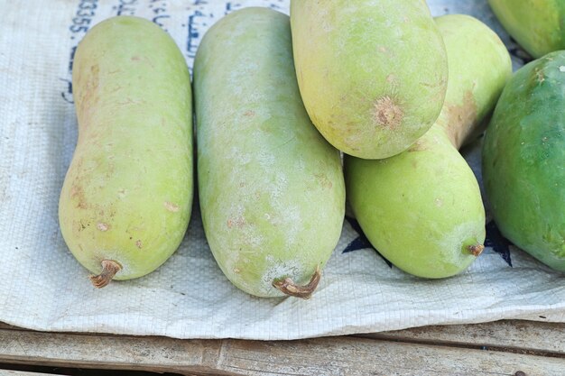 winter melon at the market