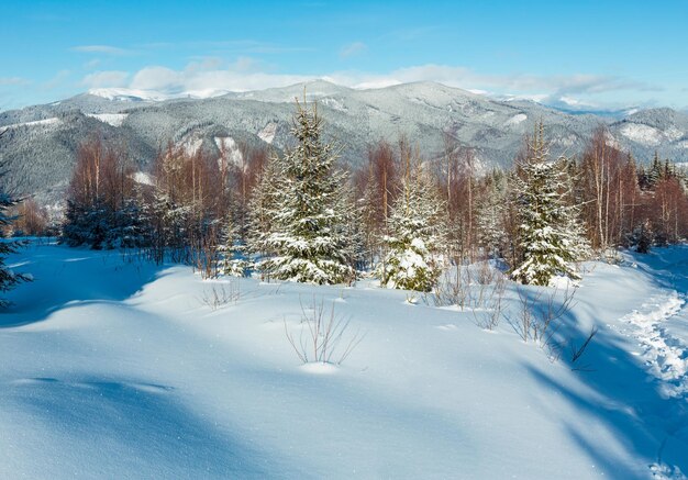 Winter morning Carpathian mountains Ukraine