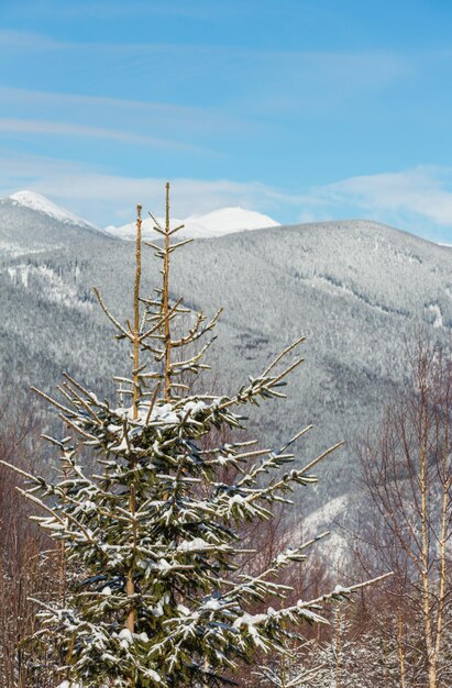 Winter morning Carpathian mountains Ukraine