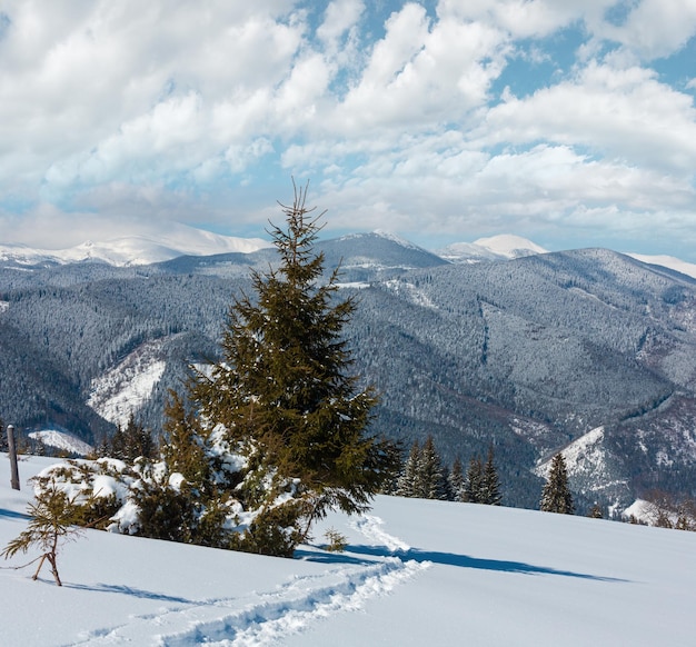 Photo winter morning carpathian mountains ukraine